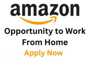 Amazon Account Manager Jobs 2024 (Work from Home) check details and apply now