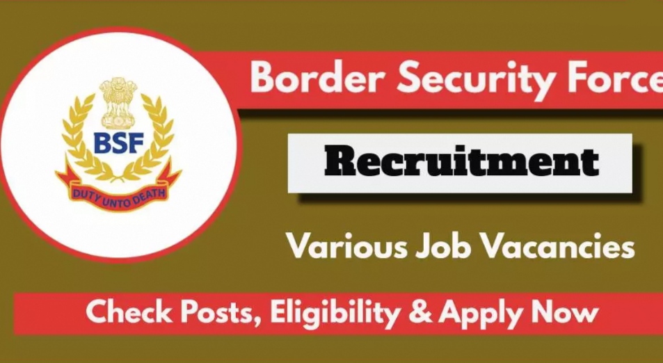 BSF Recruitment 2024 for various posts check notification and apply now