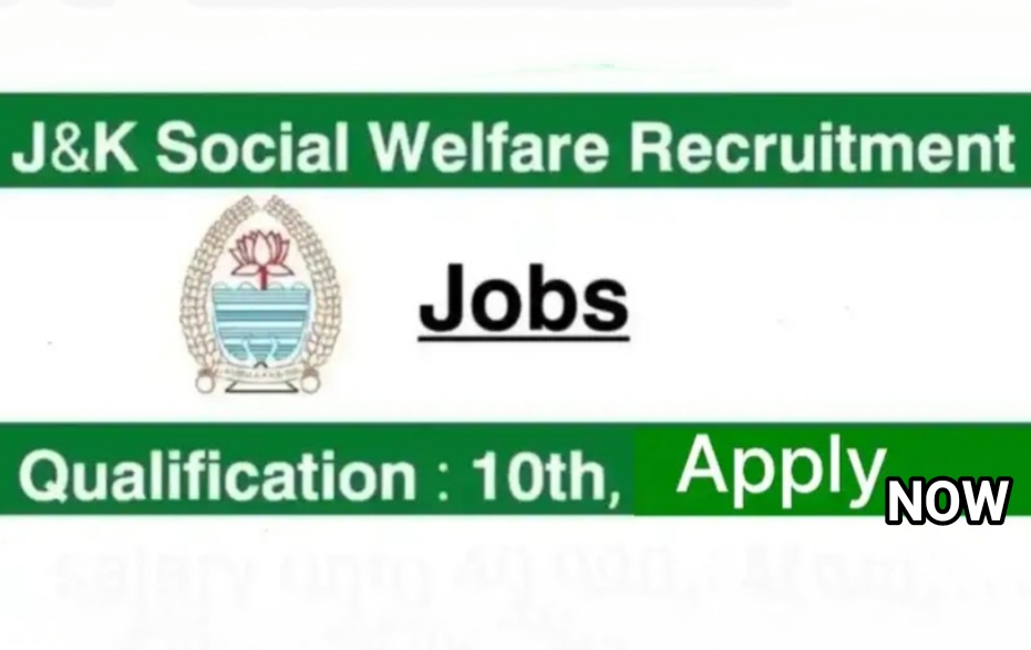 District Social Welfare Recruitment 2024:10th pass eligible apply now 